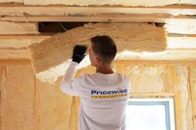 Best Wall Insulation Installation  in Porter Heights, TX