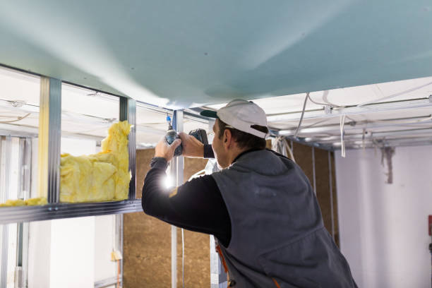 Best Radiant Barrier Insulation  in Porter Heights, TX