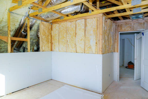 Professional Insulation Installation & Removal in Porter Heights, TX