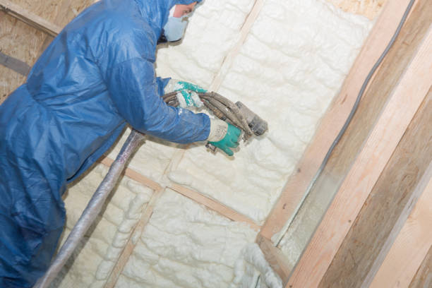 Best Attic Insulation Installation  in Porter Heights, TX